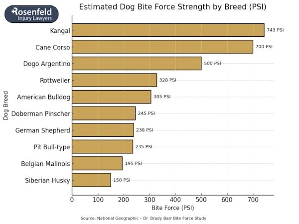 Understand behavior, training, genetics, and environment when assessing aggressive breeds