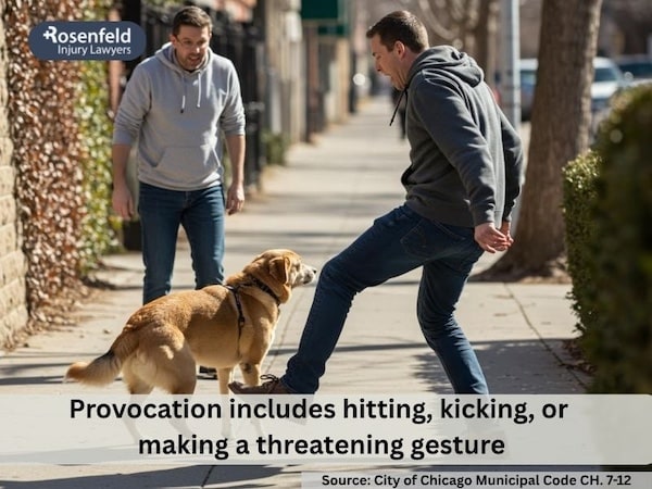 How Illinois law views injuries sustained in a provoked dog attack