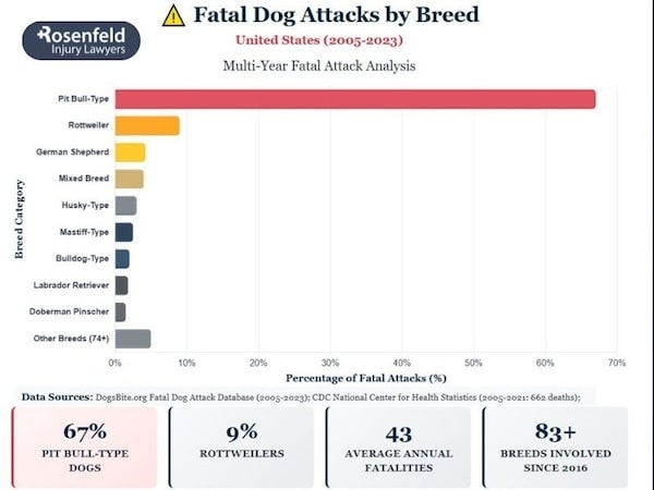 Learn which dog breeds are most commonly linked with severe attacks and why