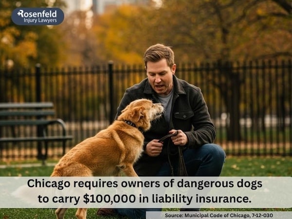 Book a free consultation if you or family member have been injured by a roaming dog